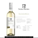 Vino Cabernet Sauvignon Clásico 2022 750ml LOMA NEGRA